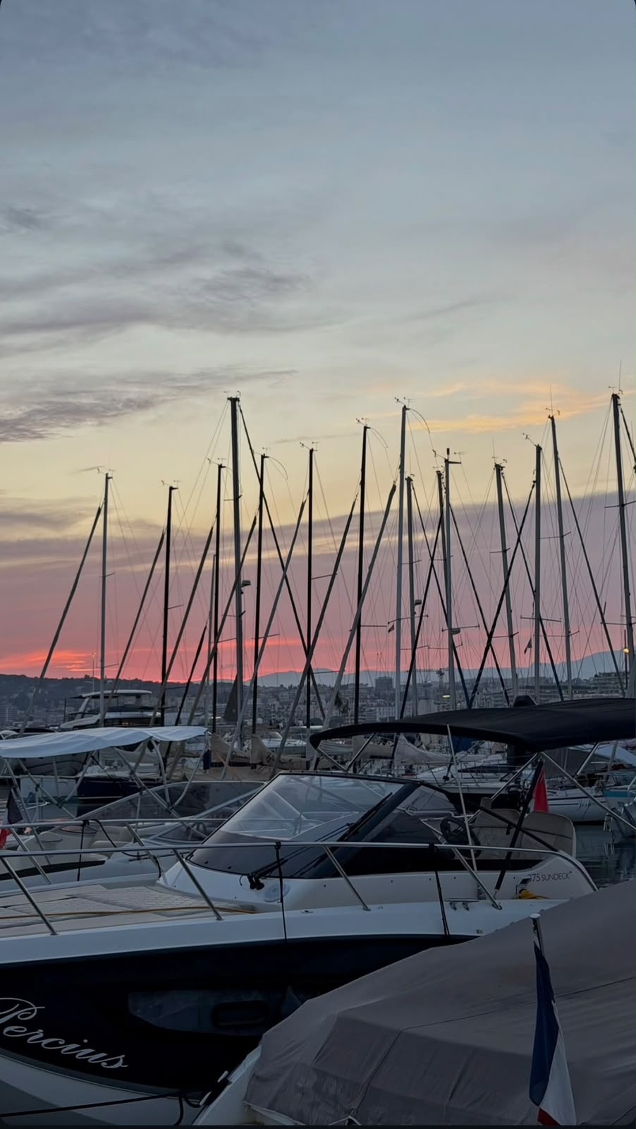 The marina at sunset